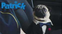 Patrick แพททริค ป่วนนะ ปั๊กปั๊ก (2018)