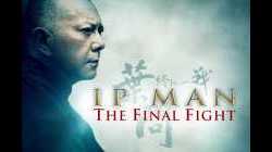Ip Man The Final Fight หมัดสุดท้าย ปรมาจารย์ยิปมัน 2013