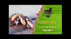 หอยกะพง : ภัตตาคารบ้านทุ่ง (15 มิ.ย.62)