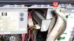 Watch - ค้นหา