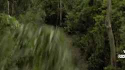 Primal โคตรคนมหากาฬ (2019)