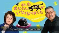 Only The Cat Knows เจ้าเหมียวจิบิหายไปไหนนะ (2019)