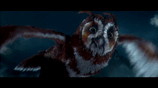 Legend of the Guardians The Owls of Ga Hoole มหาตำนานวีรบุรุษองครักษ์  นกฮูกผู้พิทักษ์แห่งกาฮูล (2010)