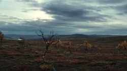 Sisu  เฒ่ามหากาฬ (2022)