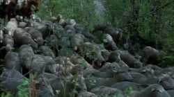 Brokeback Mountain (2005) หุบเขาเร้นรัก