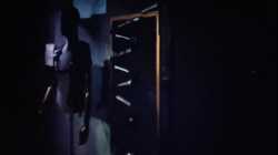 4 Tigers (2025) เสือ