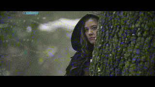 Warlord (2025) วอร์ลอร์ด